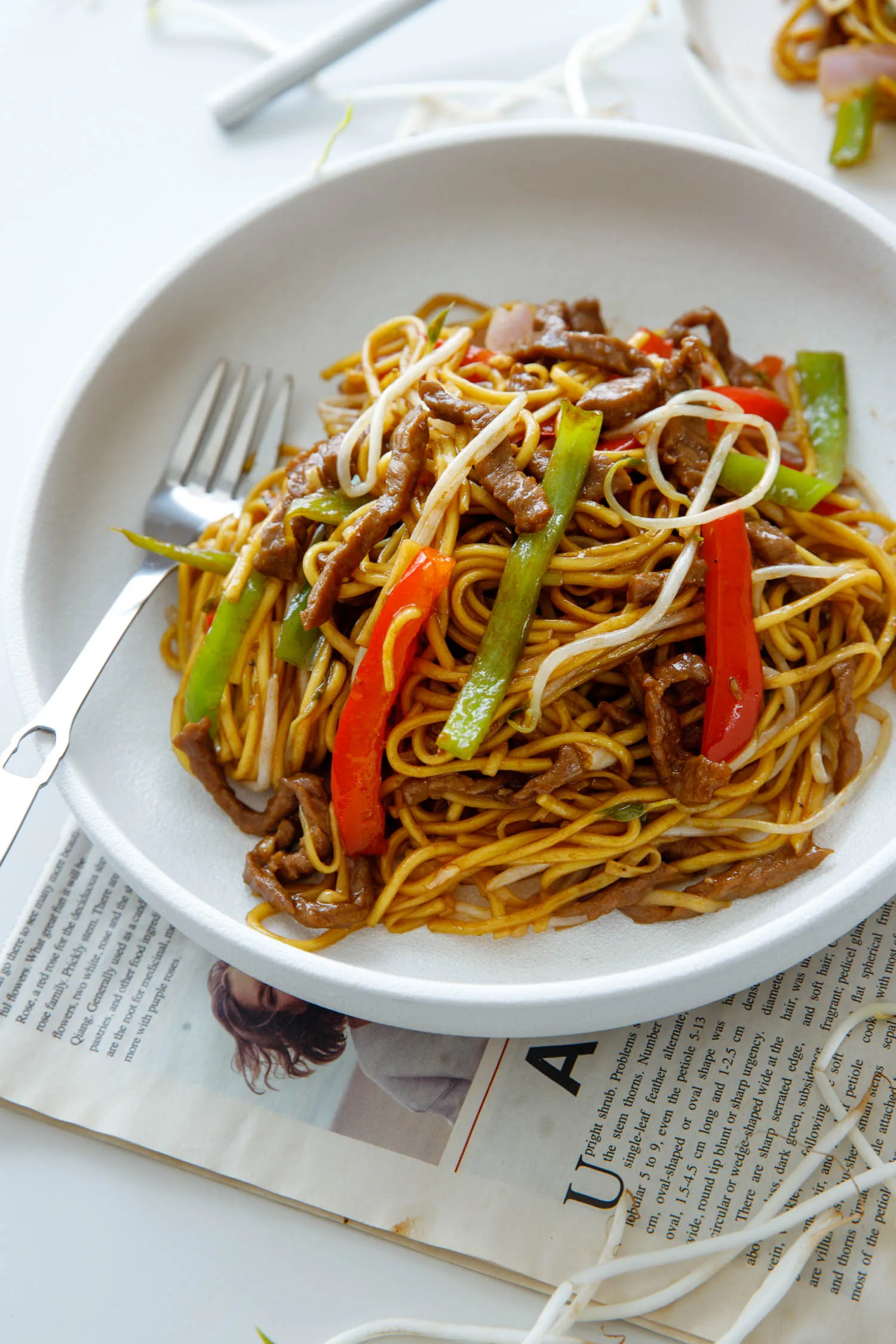 beef chow mein|chinasichuanfood.com