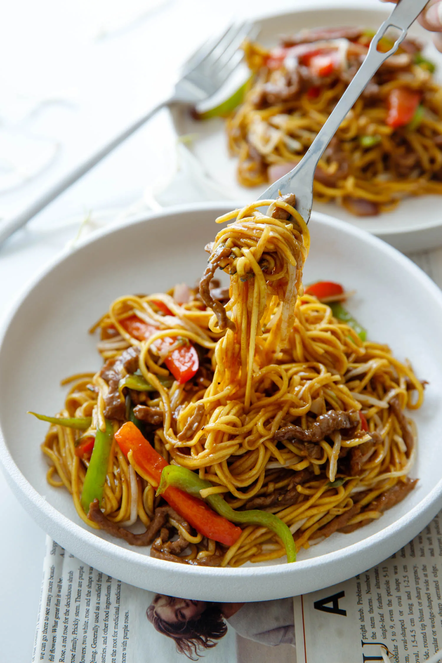 beef chow mein|chinasichuanfood.com