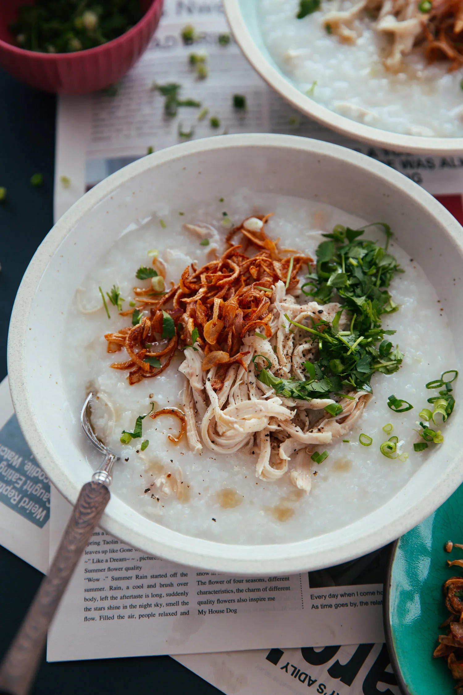 chicken congee|chinasichuanfood.com