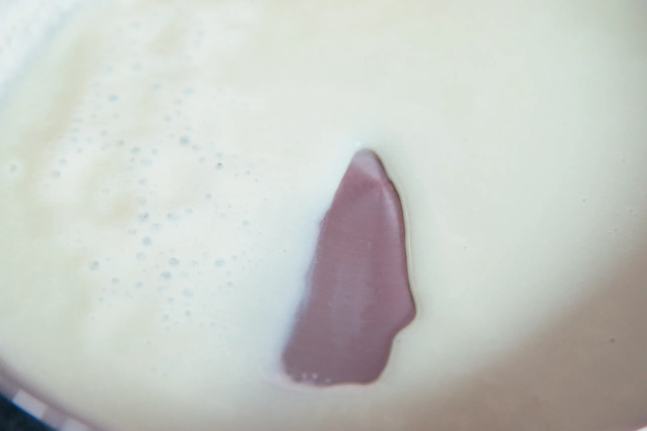 sweetened condensed milk | chinasichuanfood.com